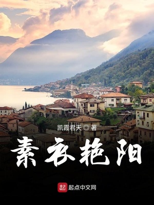 素衣艳阳小说