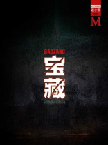 宝藏小说视频