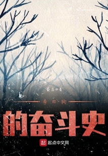 李四狗的奋斗史