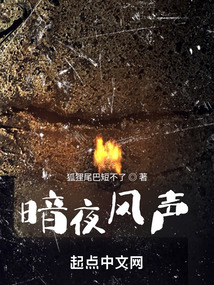 暗夜风声TXT免费下载