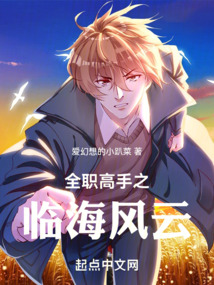 全职高手之搅动风云 小说