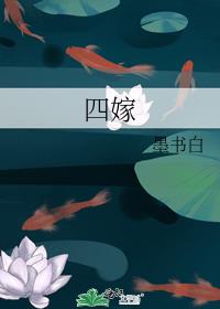四嫁笔趣阁