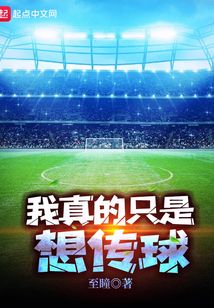 我真的只是想传球下载