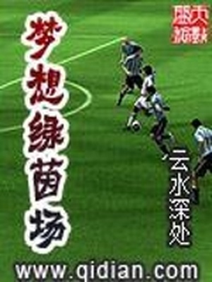 梦想绿茵场之重返伯纳乌
