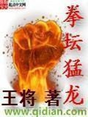 拳坛猛龙 小说
