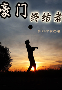 豪门终结者 庐阳布衣