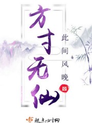 方寸dj