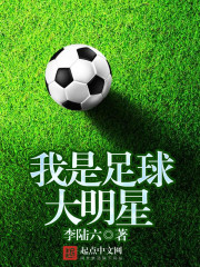 我是足球小明星