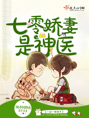 穿越70年代当军嫂的小说