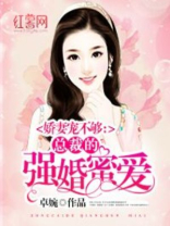 强婚夺爱,总裁的秘妻