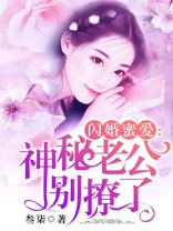 闪婚蜜爱,老公强势宠 小说