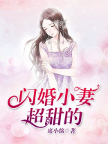 闪婚小甜文