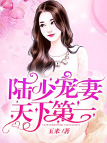 《陆少宠妻天下第一》 作者:玉米