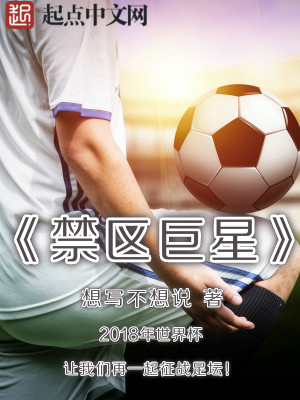 禁区巨星小说