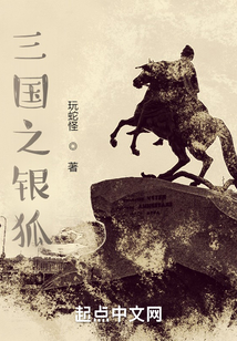 三国之银狐下载