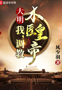 大明木匠 小说