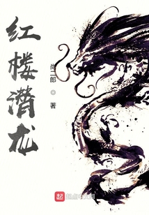 红楼潜龙几个女主