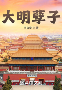大明孽子无广告小说