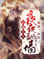 首辅大人你老婆跑啦 小说