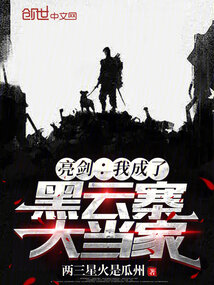 亮剑:我成了黑云寨大当家免费阅读