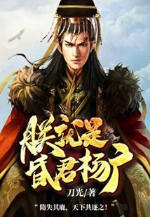 朕就是昏君杨广TXT下载