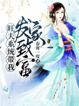 重生旺夫系统