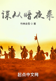暗夜谍战小说