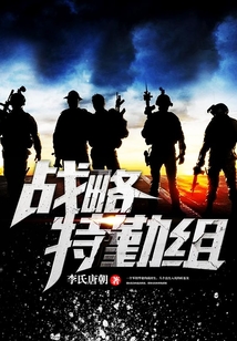 战略特勤组2
