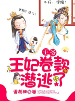 王爷，王妃卷款潜逃了