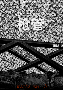 国土防线电影