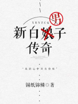 新白男子传奇无防盗章
