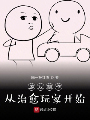 游戏制作:从治愈玩家开始 小说
