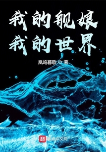 我的舰娘我的世界TXT下载