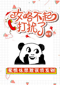 功略不起打扰了