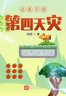 这真不是第四天灾 小说