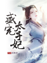 盛宠太子妃 小说