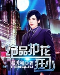 绝品护花狂少 赵天城