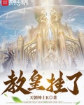 斗罗开局教皇祭天无防盗