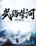武踏星河TXT下载
