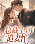 总裁上司追妻忙免费阅读许伊然