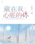 藏在我心底的你张不一小说