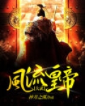 小说大武宗