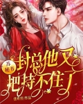 苏封宇小说