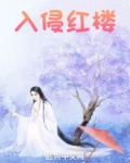 红楼入赘