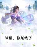 试婚吗总裁
