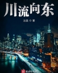 川流向东实体书