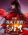 穿越红楼我是贾政
