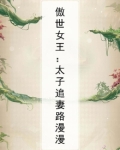 傲世女王:太子追妻路漫漫