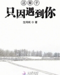 这辈子只因遇到你歌词