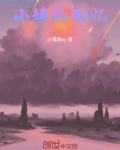 小回忆助手